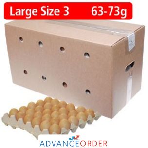 Large Eggs 1x360