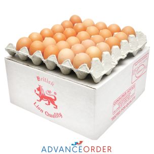 Lion Quality Medium Eggs 1x60