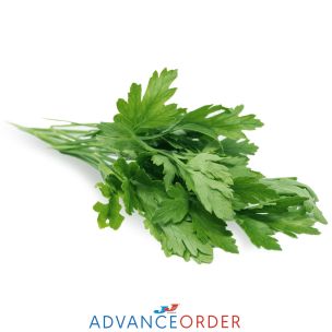 Fresh Flat Leaf Parsley-1x20 Bunches