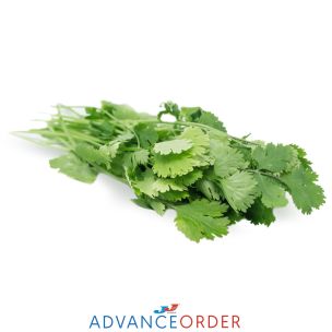 Fresh Coriander-1x20 Bunches