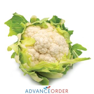 Fresh Cauliflower-1x(6-8)