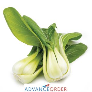 Fresh Pak Choi-1x10