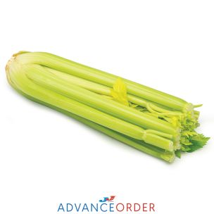 Celery-1x12
