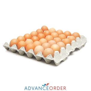 Lion Quality Medium Eggs 1x180