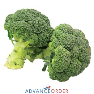 Broccoli-1x6kg