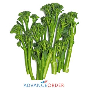 Tenderstem Broccoli-1x500g