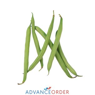 Green Fine Beans 1x1.5kg