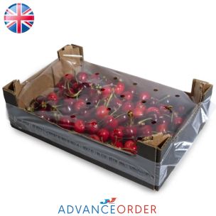 Fresh Cherries-2x400g
