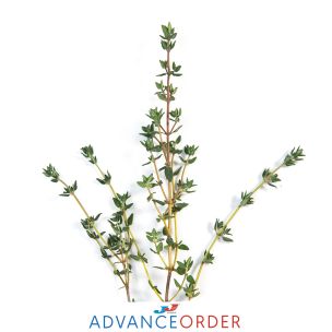 Fresh Thyme-1x100g
