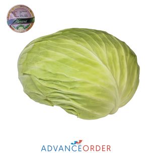 Flat Cabbage-1x(5-6)