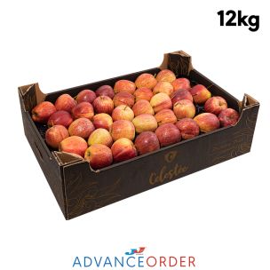 Red Apples (Royal Gala Apples)-1x12kg
