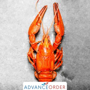 Frozen Whole Cooked Lobster in Brine 1x350g