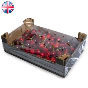 Fresh Cherries-2x400g