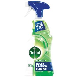 Dettol Antibacterial Mould & Mildew Remover Spray-1x750ml