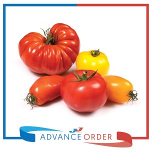 Mixed Heritage Tomatoes 1x3.5kg