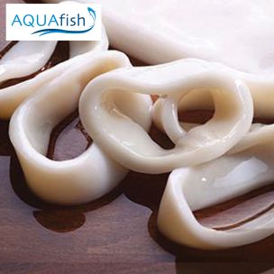 Aquafish Raw Squid Rings-1x1kg
