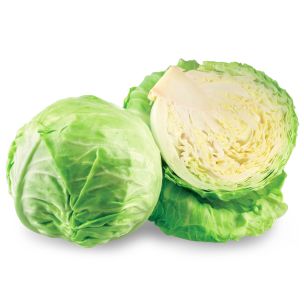 White Cabbage-1x10kg
