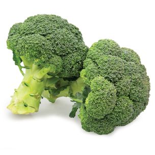 Fresh Broccoli-1x(8-10)