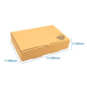 9" Kraft Cardboard Fish & Chips Boxes (250x55x160mm) 1x100