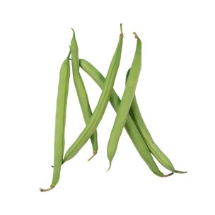 Green Fine Beans-1x1kg