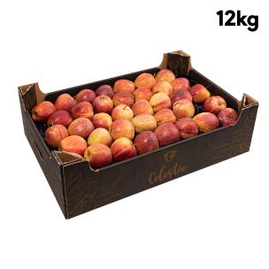 Red Apples (Royal Gala Apples)-1x12kg