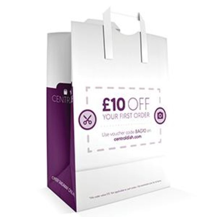 CentralDish.com Large White Kraft Paper Carrier Bags (10"x15"x12")-1x100