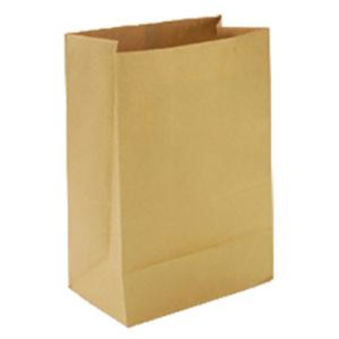 Brown Kraft SOS Bag Unprinted(12"x19"x17")-1x100