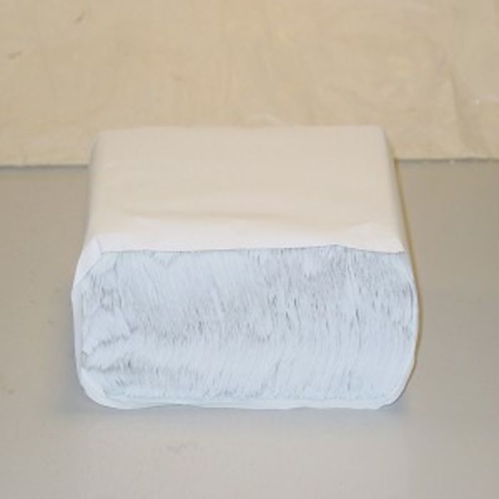 Tennessee Take Away Bags-(8.5"x8.5")-1x1000
