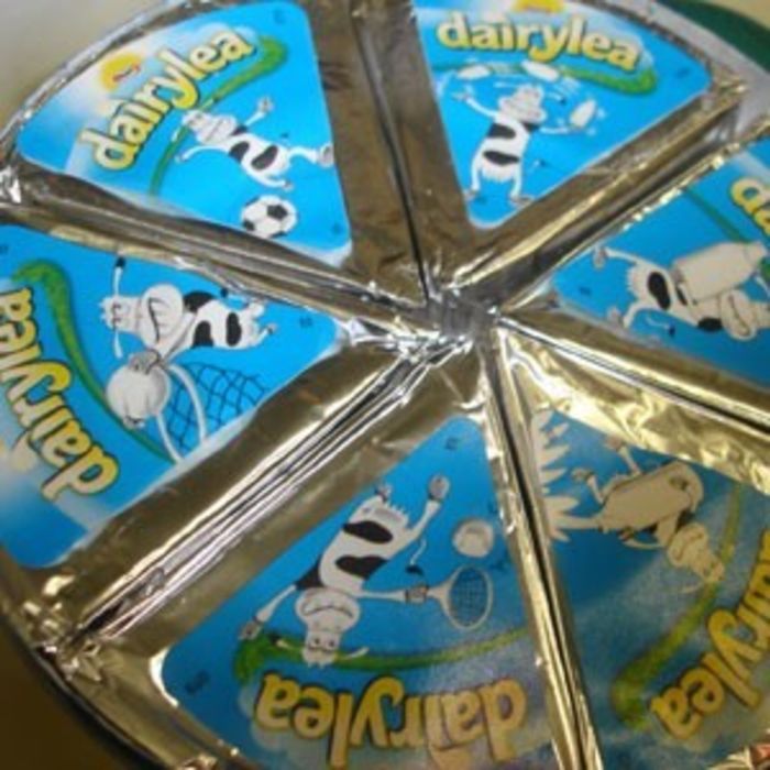 Buy Dairylea Cheese Triangle26x85g Order Online From JJ Foodservice