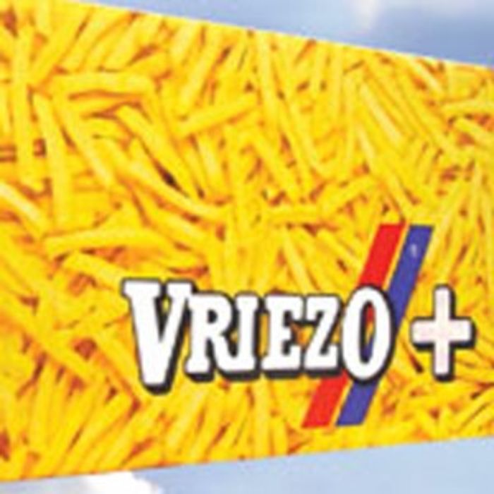 Buy Vriezo Julienne Chips4x2.5kg Order Online From JJ Foodservice