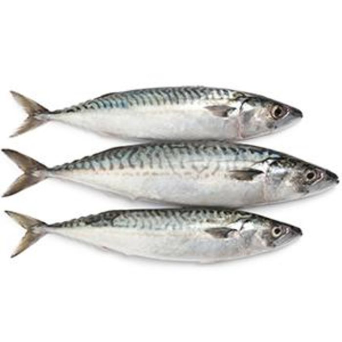Buy Frozen Whole Round Norwegian Mackerel (400/600g)1x10kg Order