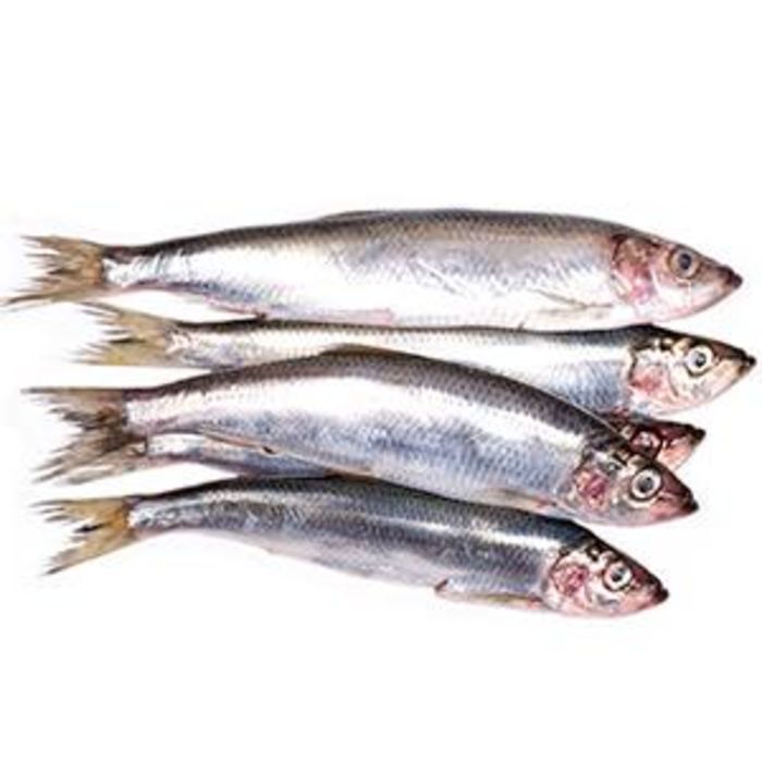 JJ Foodservice Fish & Seafood,Frozen Whole Fish Frozen Whole Herring1x7kg