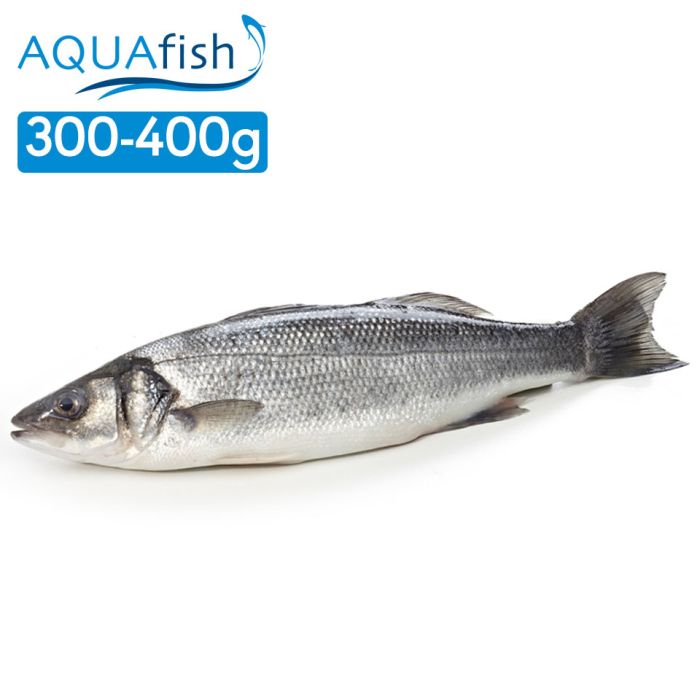 Aquafish IQF Whole Sea Bass Gilled & Gutted (300-400g)-1x1kg