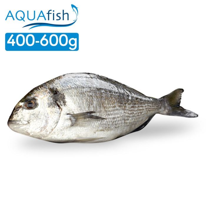 Aquafish IQF Whole Sea Bream Gilled & Gutted (400-600g) 1x1kg