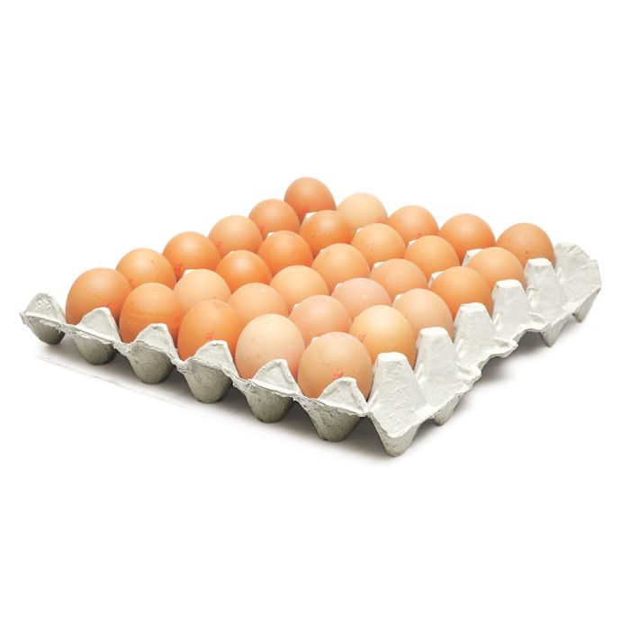 Lion Quality Medium Eggs-(Size 3)-1x180