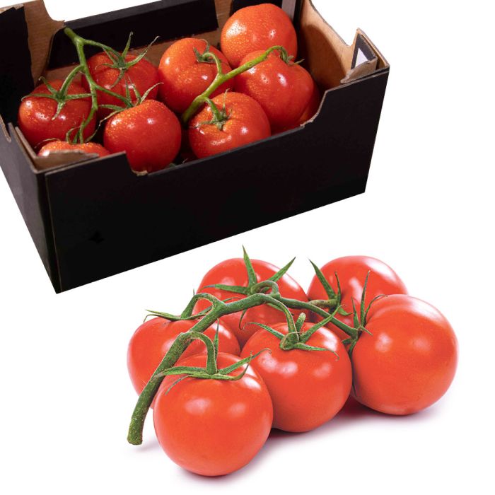 Vine Tomatoes (Class 1)-1x1.5kg