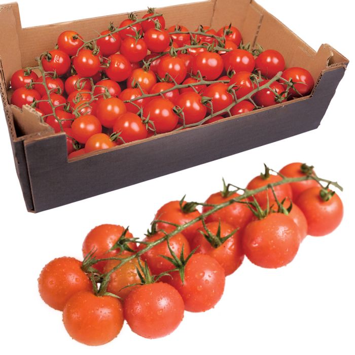 Cherry Vine Tomatoes (Class I)-1x1kg