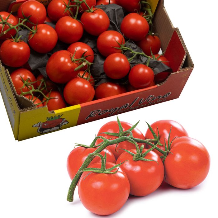 Vine Tomatoes (Class I)-1x5kg